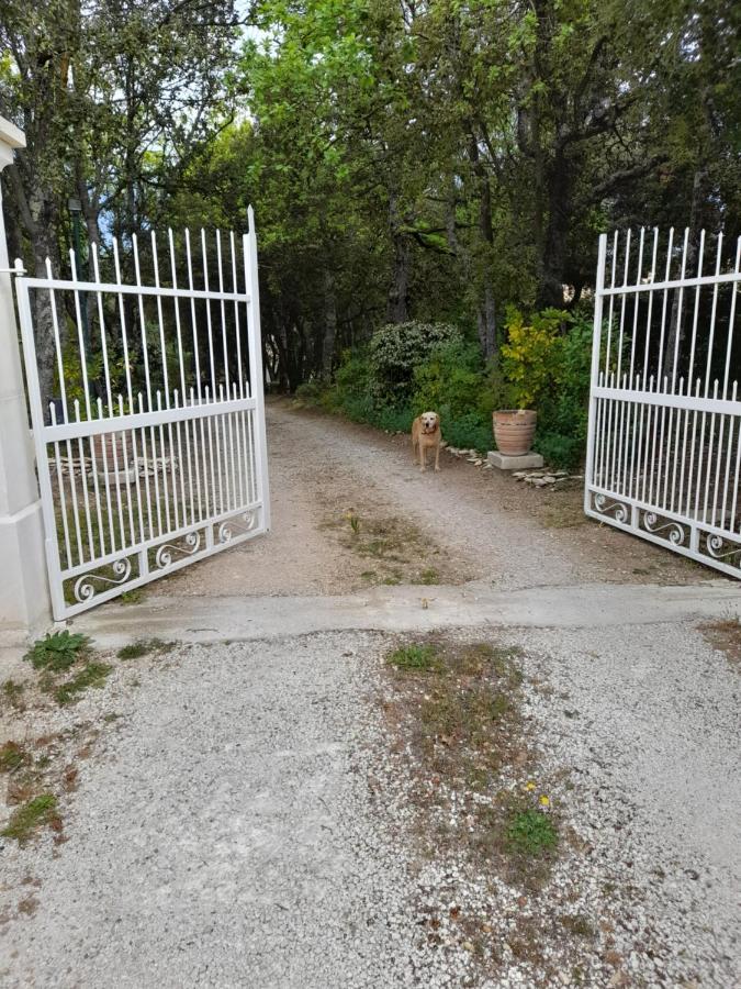 Villa Le Bosquet En Luberon. Ménerbes Buitenkant foto